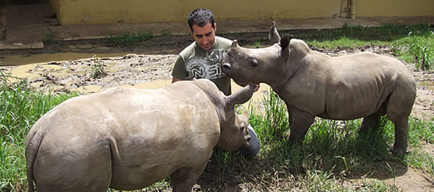 Hurones el Bosque Clinica Veterinaria - Empresa